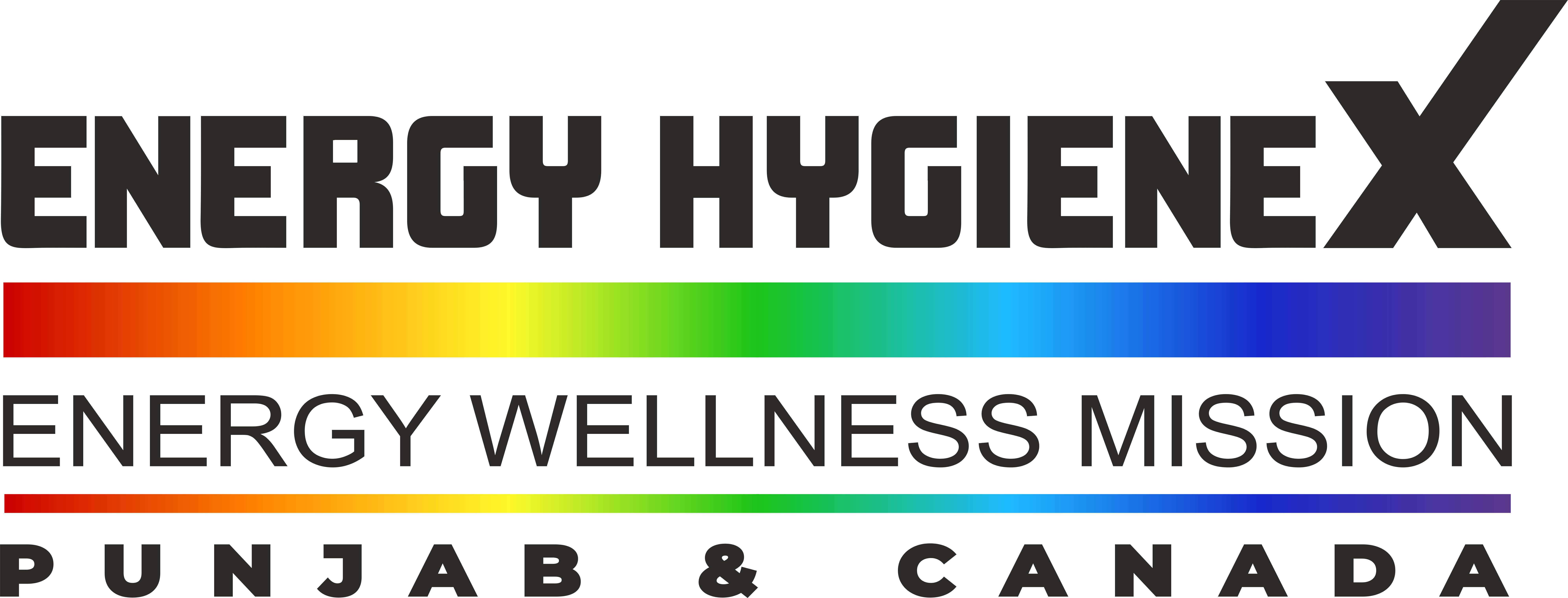 Energy Hygiene X Logo